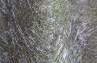 Upper Ham fibreglass roof work